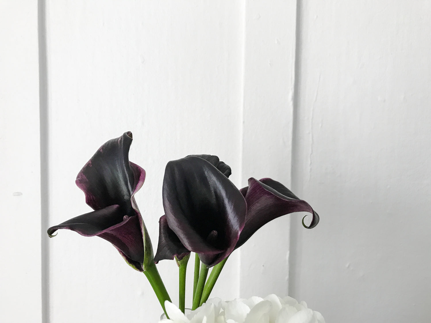 A HOME IN THE HEART: URANUS IN THE 4TH HOUSE (ON HOME, VOL. 1)