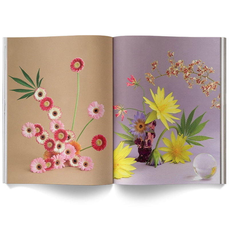 A Weed is a Flower Book