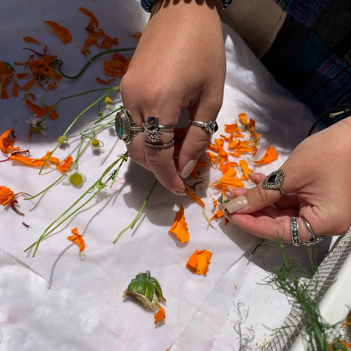 MAY 5: Spellwork Eco-Dyeing Workshop w/ ROBBERSDAUGHTER