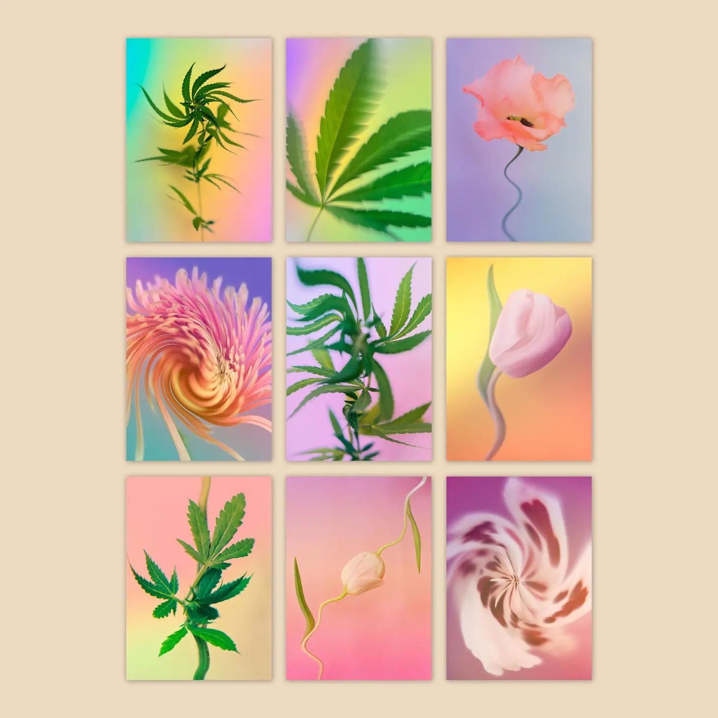 Psychedelic Fleurs Postcard Print Set