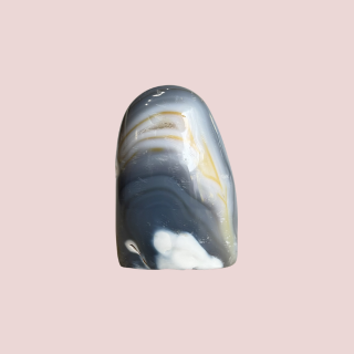 Banish Billionaires Orca Agate