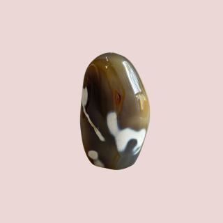Banish Billionaires Orca Agate