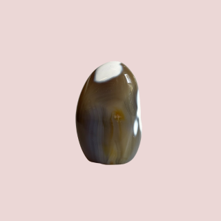 Banish Billionaires Orca Agate