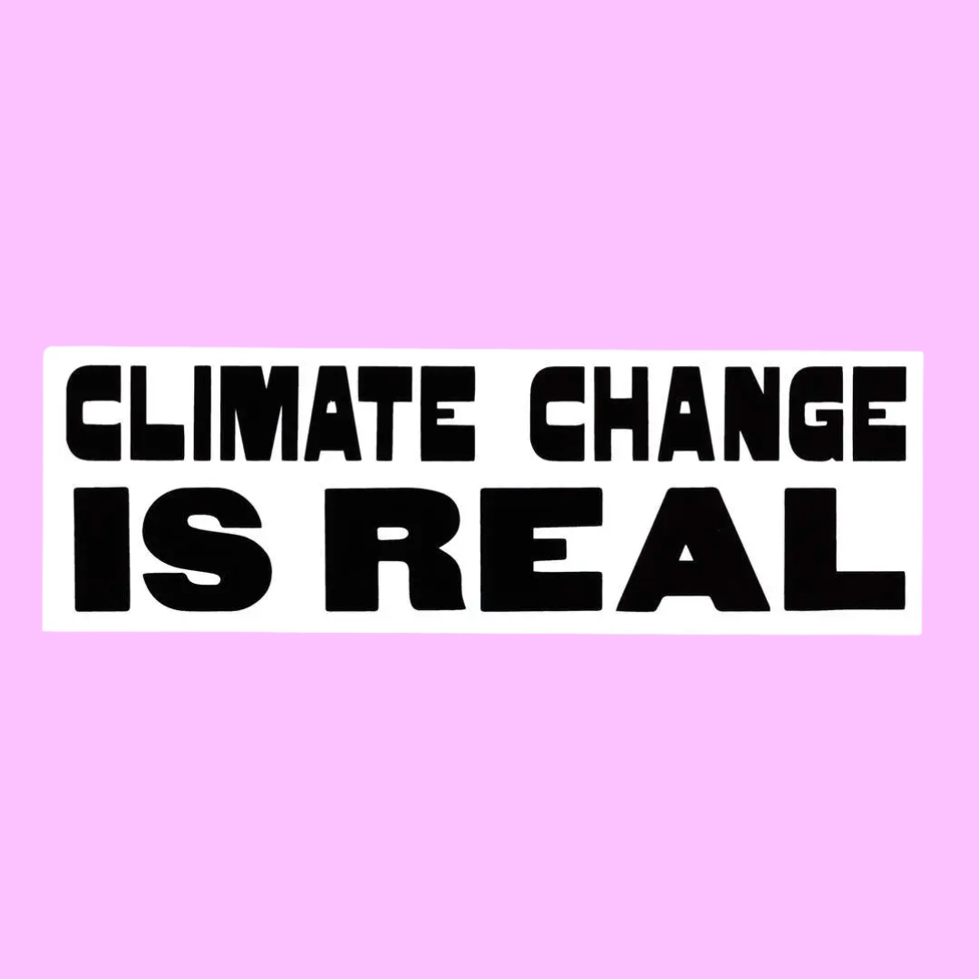 Climate Change Is Real Bumper Sticker