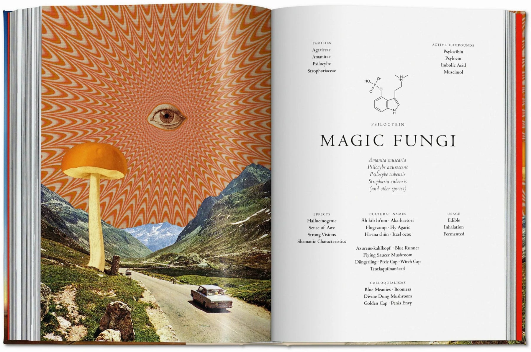 The Library of Esoterica: Plant Magick