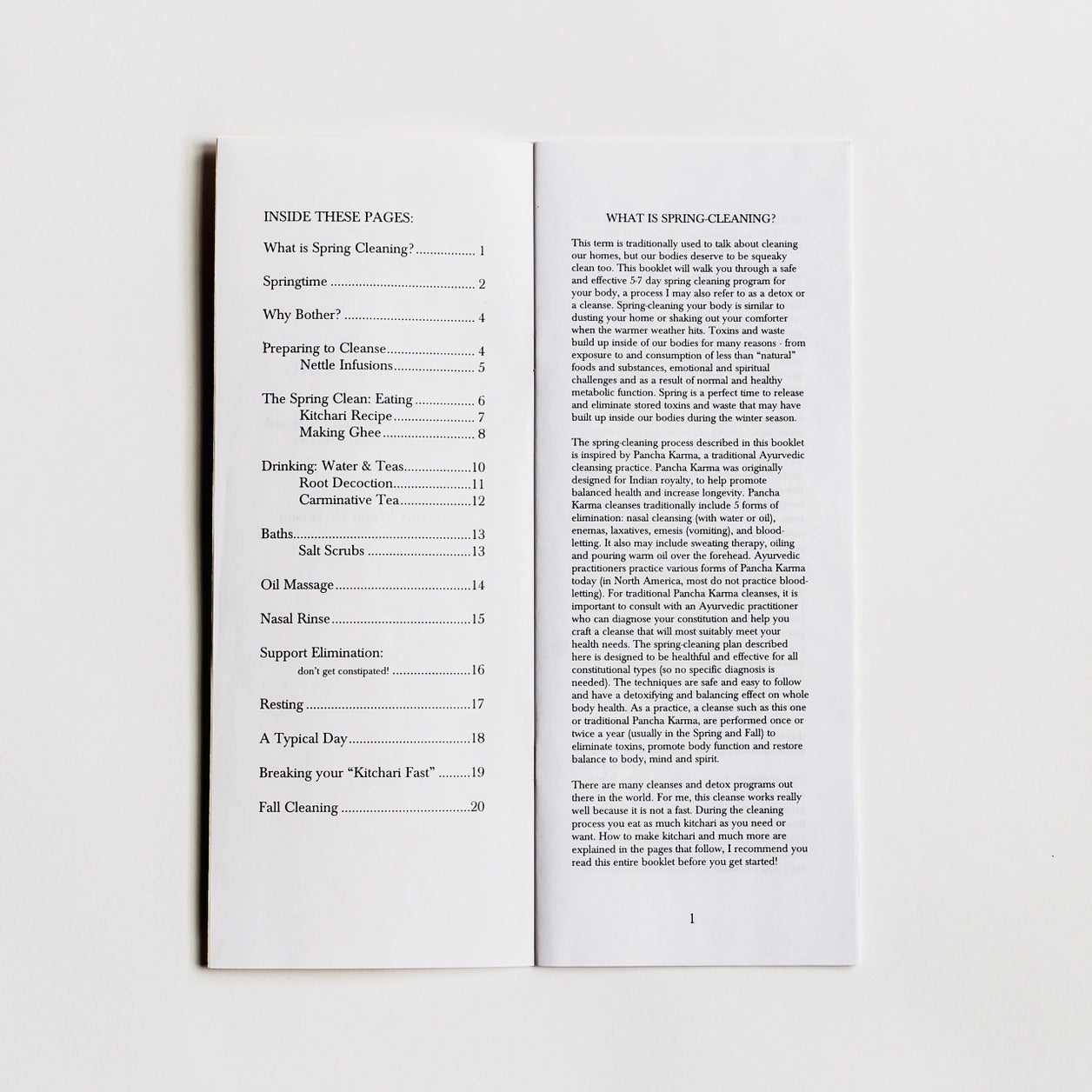 Spring Cleaning Zine