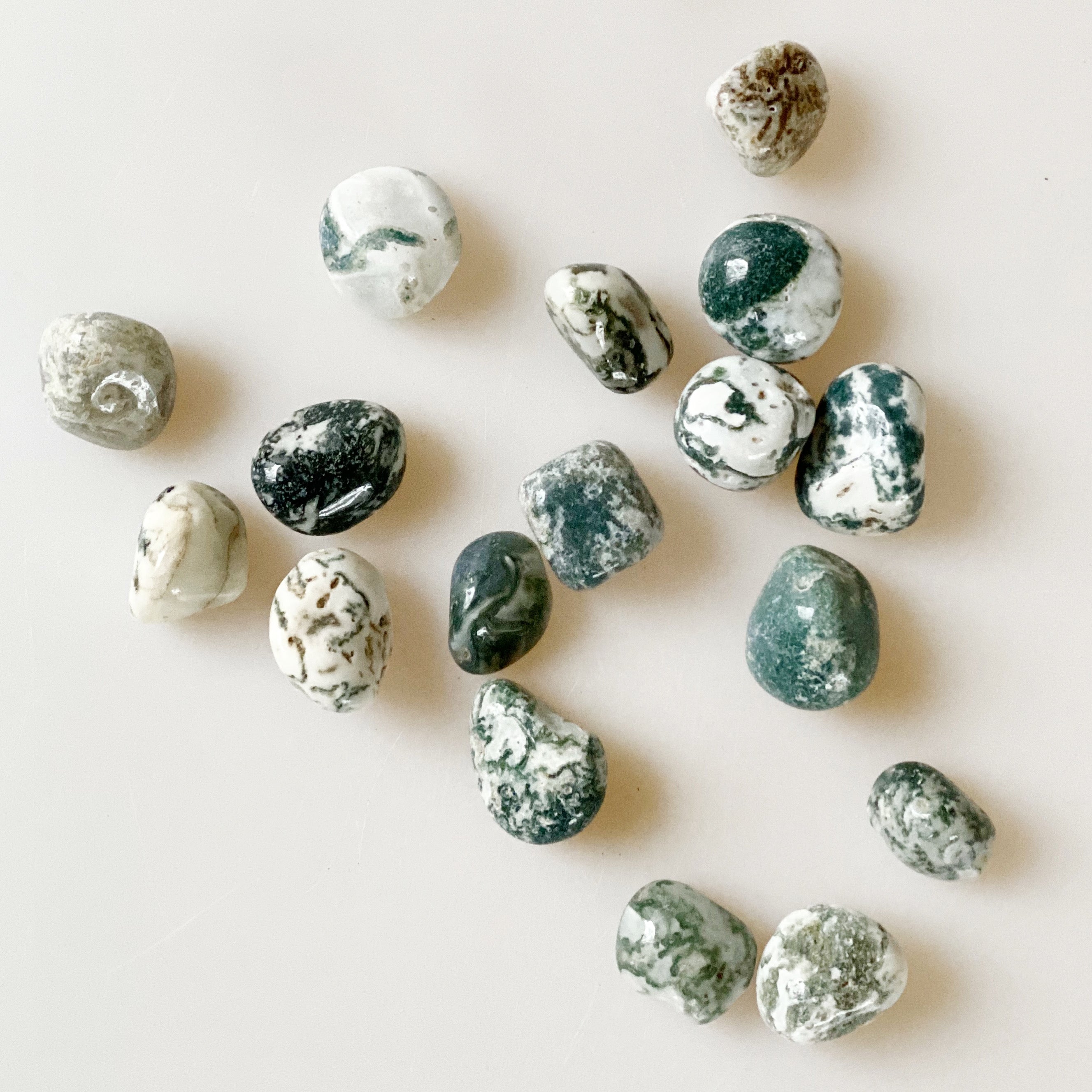 Tumbled Tree Agate
