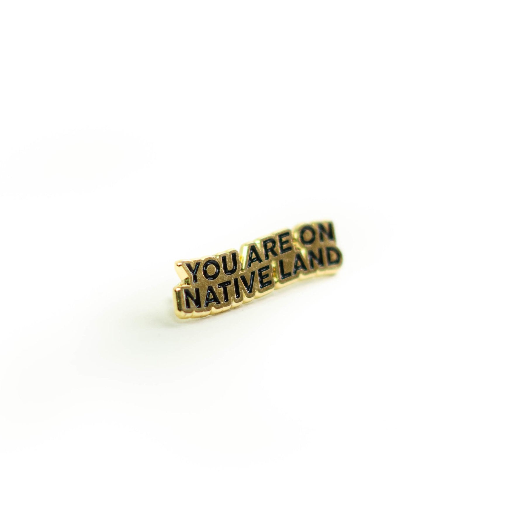 You Are on Native Land Pin