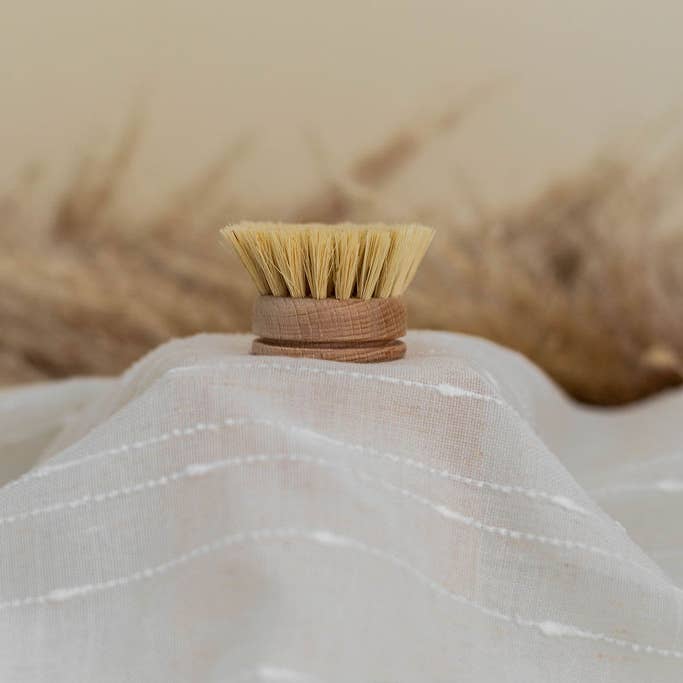 Beechwood Dish Brush