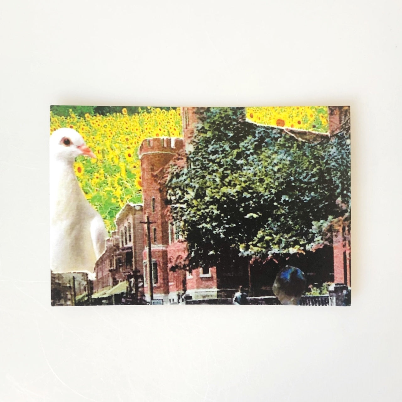 Now Age Collage Postcards