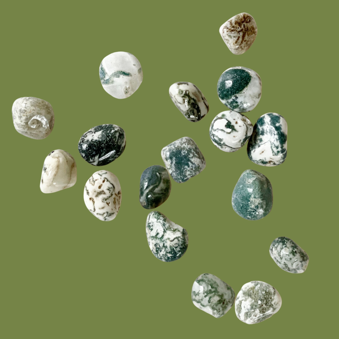 Tumbled Tree Agate