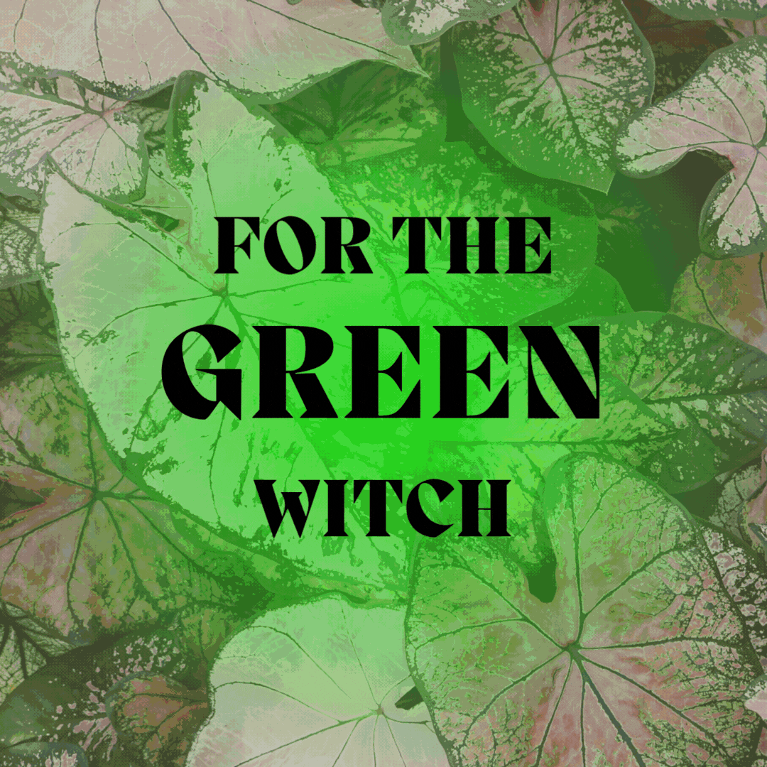 What Witches Want: Our 2025 Holiday Gift Guide