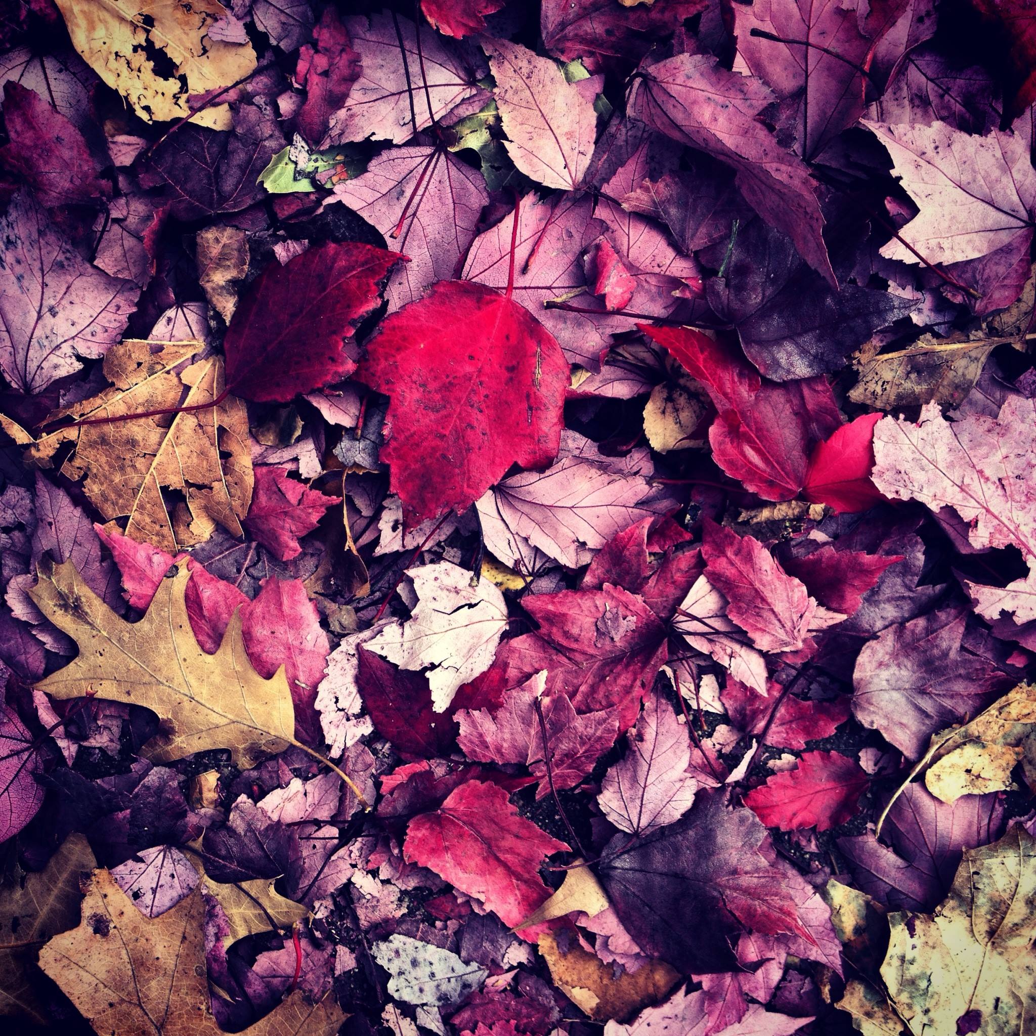 Inspirations/Incantations Vol. 2 Fall Faves!