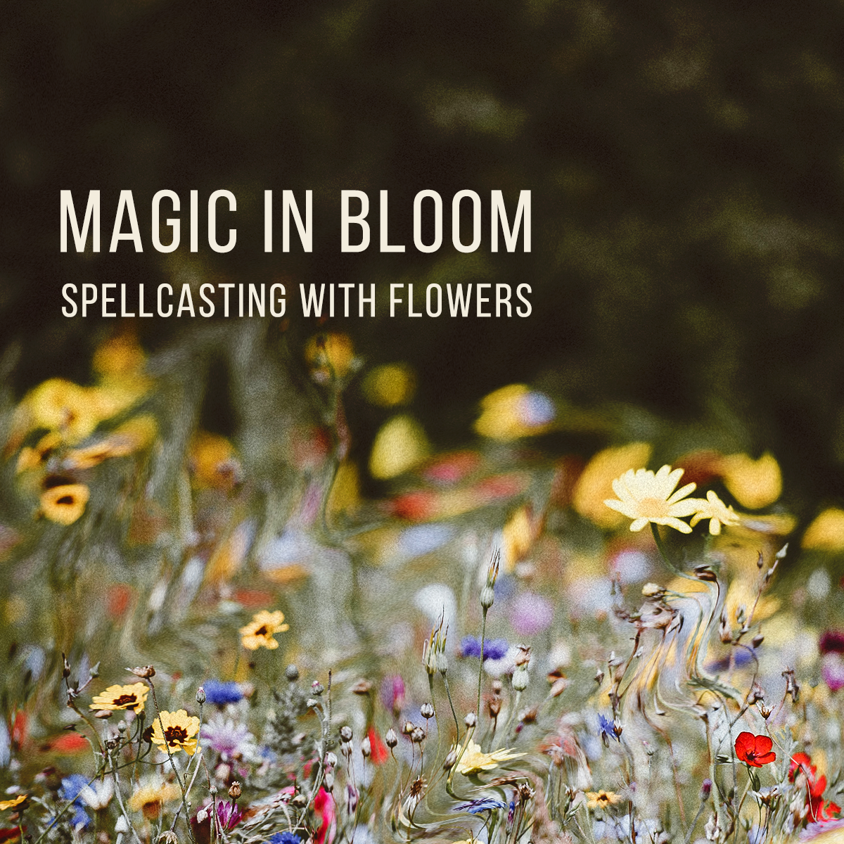 MAGIC IN BLOOM: Spellcrafting with Flowers