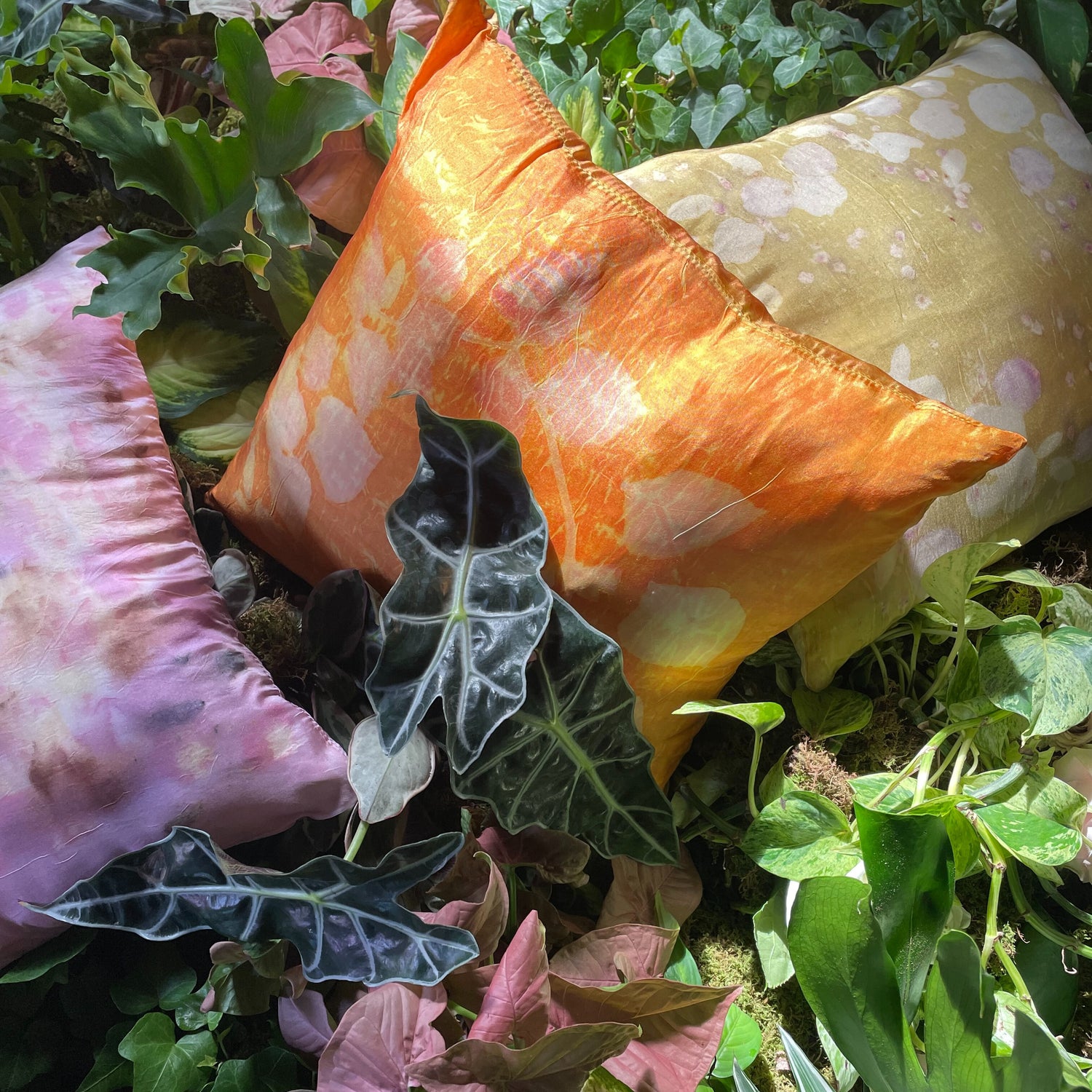 A Dream Come True: Behind the Scenes of Mugwort Dream Pillows