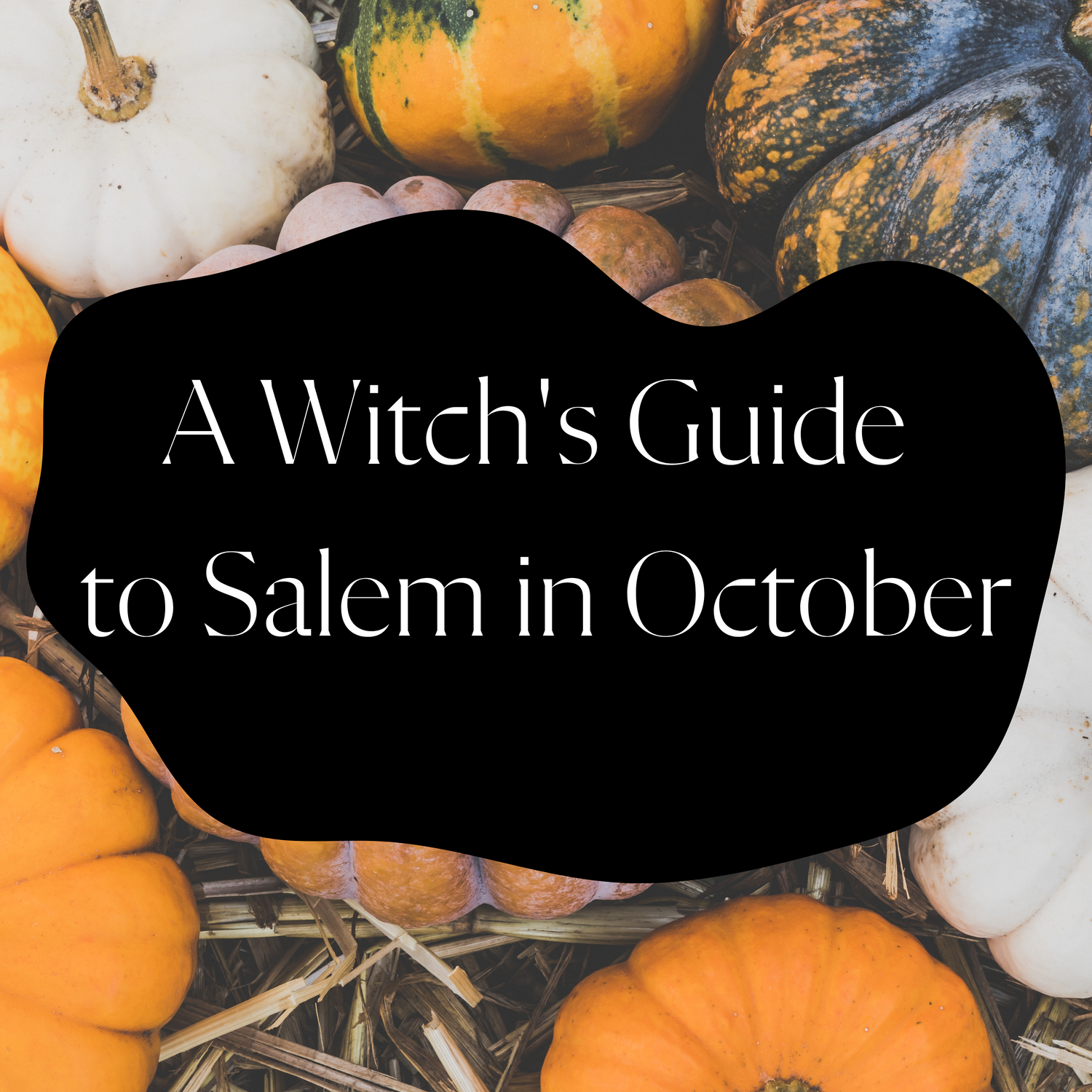 A Witch's Guide to Salem in October