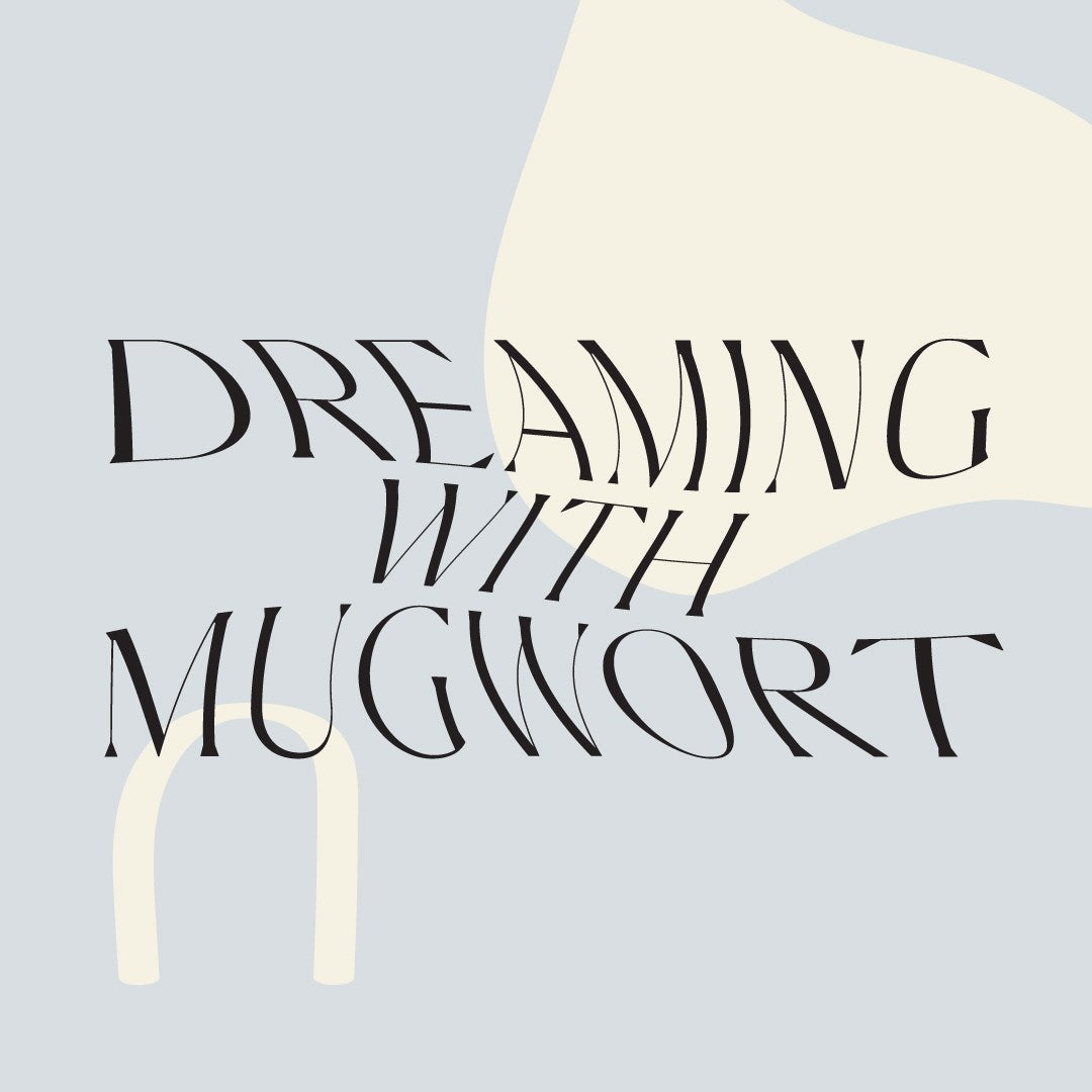 How To Use Mugwort For Lucid Dreaming | HausWitch Home + Healing