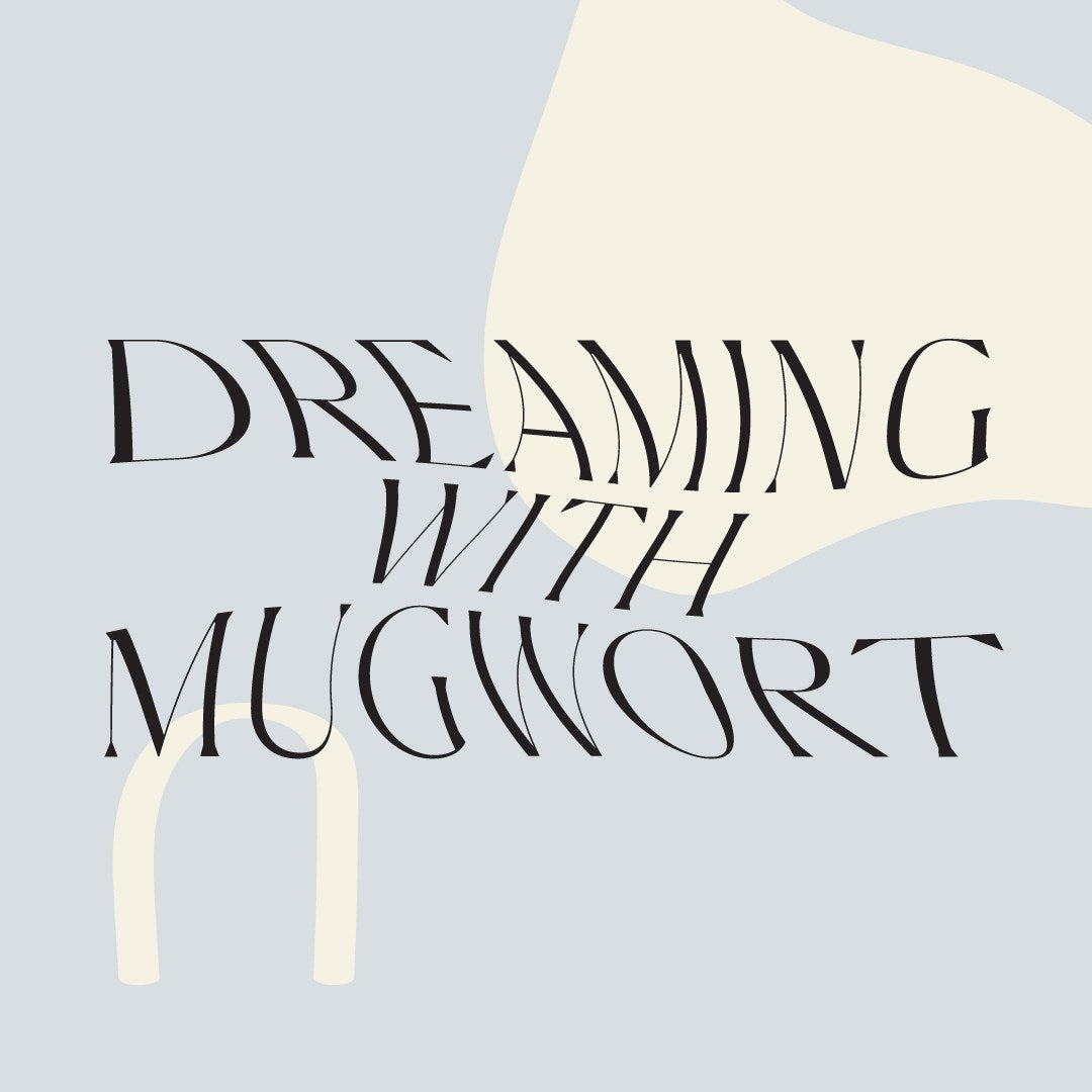 How To Use Mugwort For Lucid Dreaming| HausWitch Home + Healing