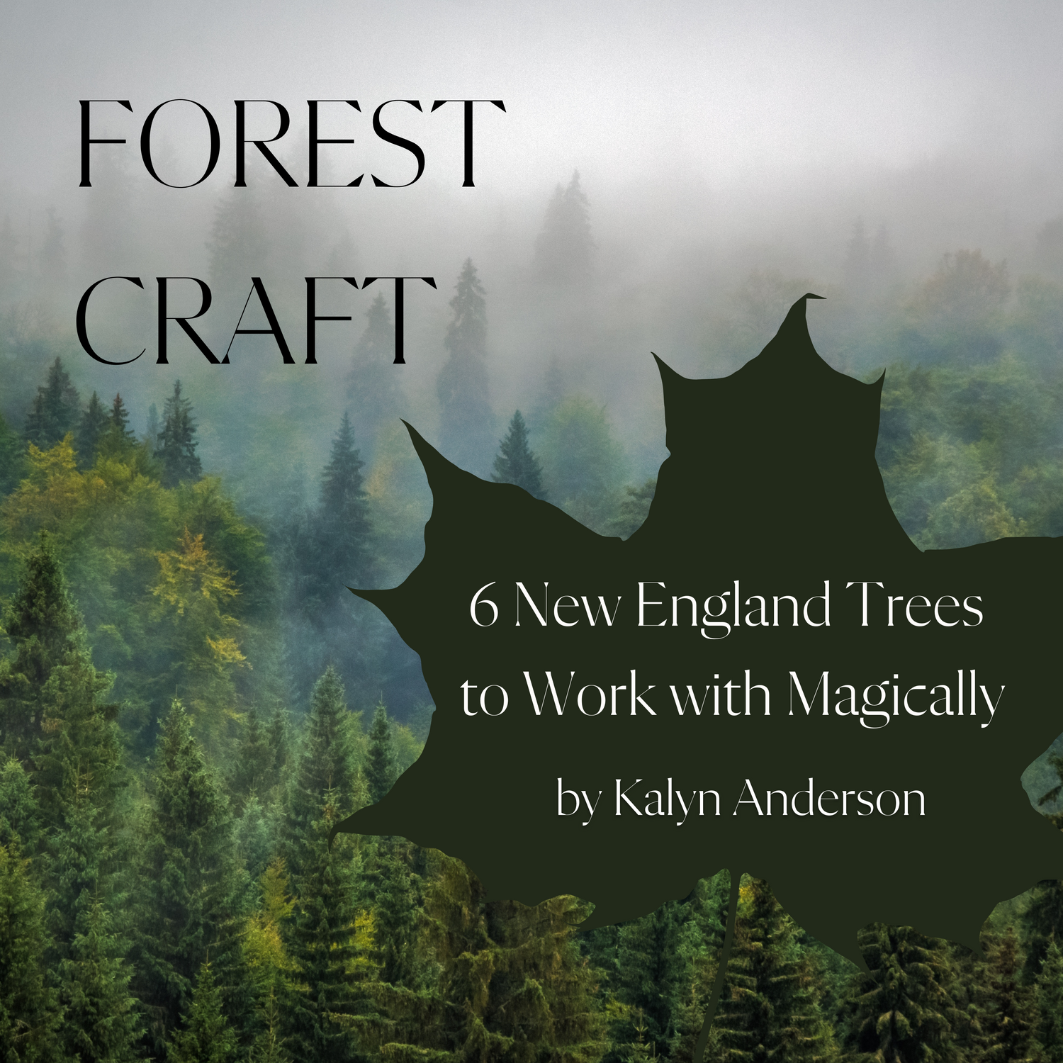 Forest Craft: 6 New England Trees to Work With Magically.
