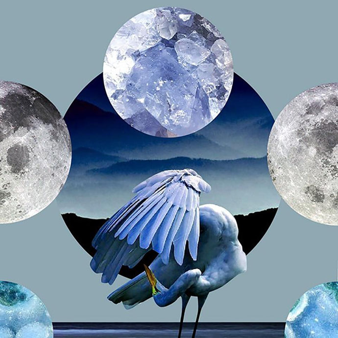 March Full Moon Tarotscopes: Rooted & Resourced