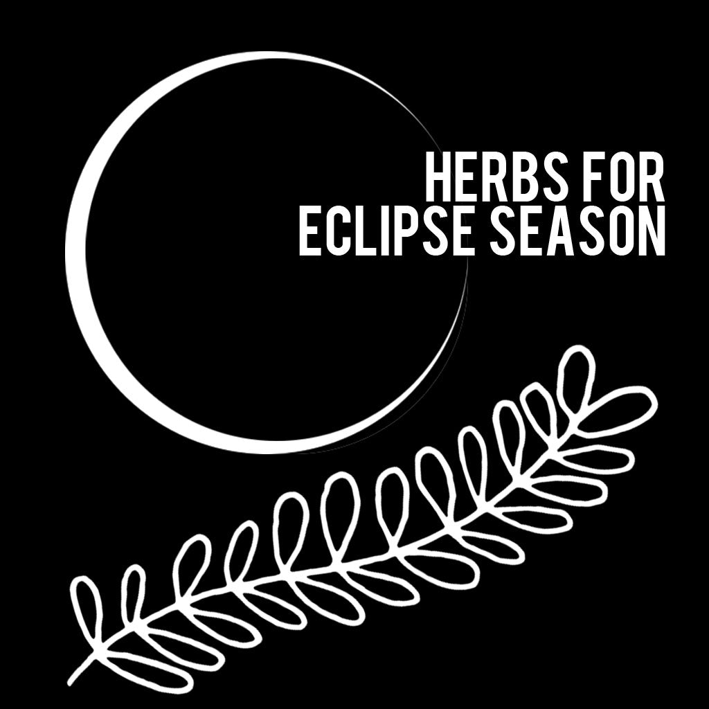 HERBS FOR ECLIPSE SEASON