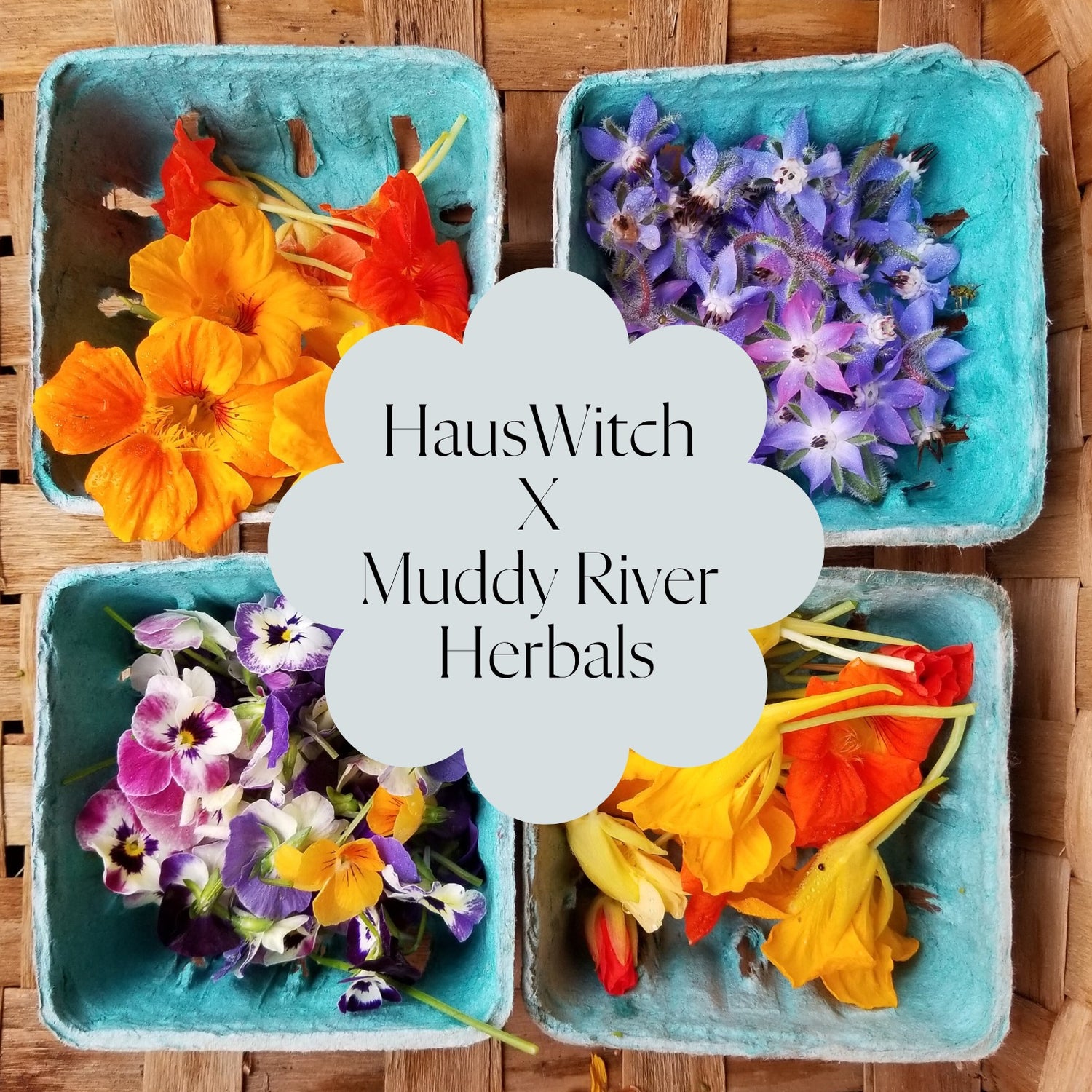 HausWitch + Muddy River Herbals