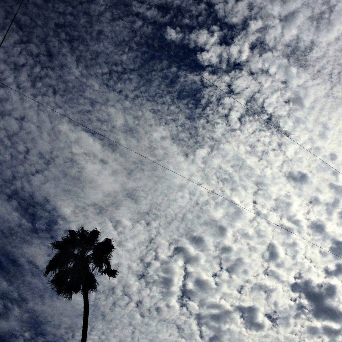 The HausWitch Guide to L.A.