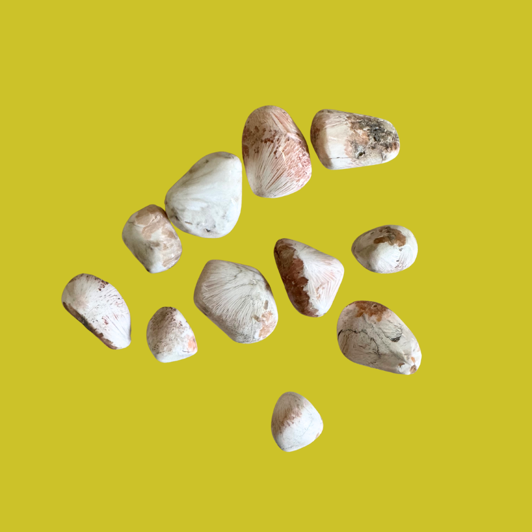 Tumbled Seashell Scolecite