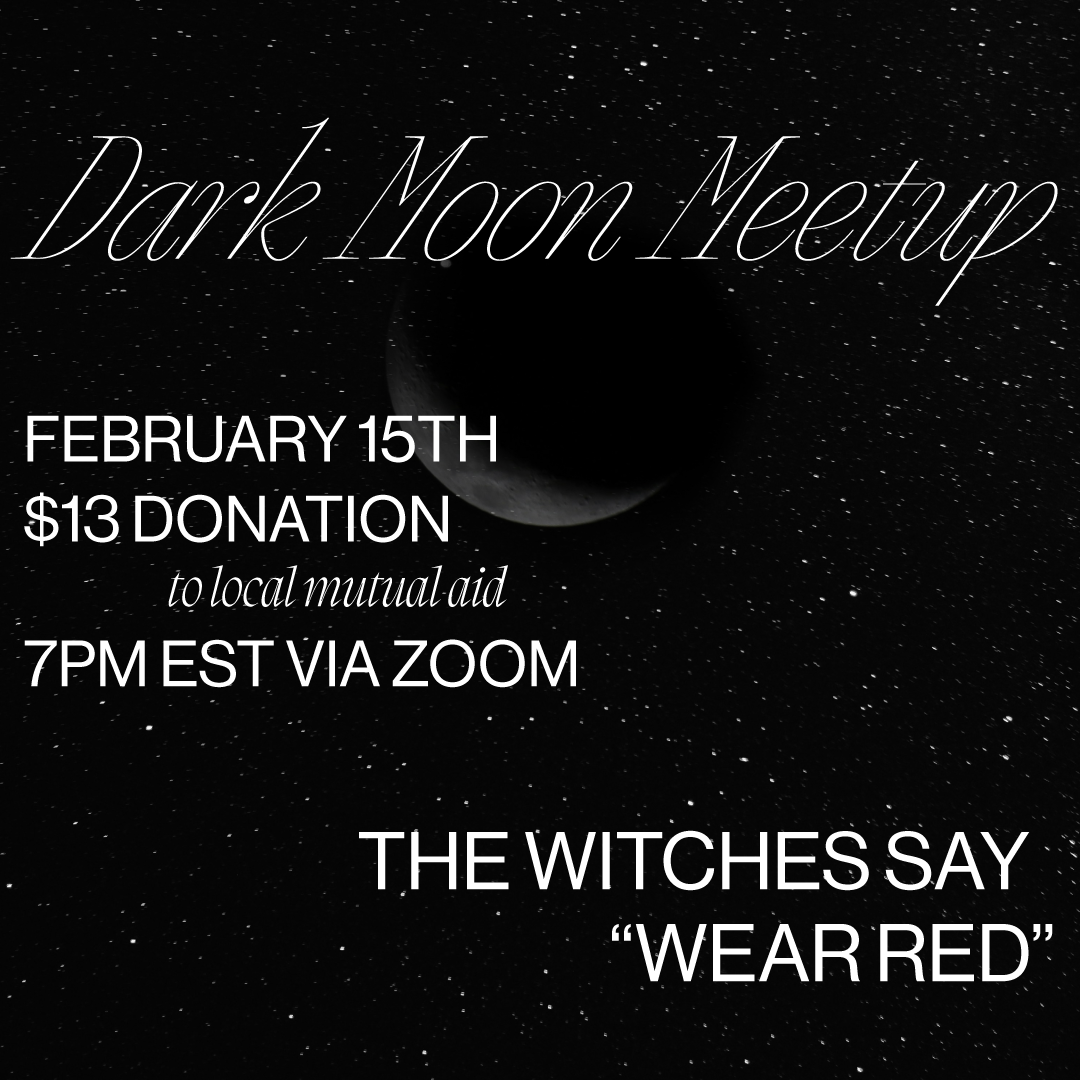 FEB 15: Virtual Witch the Vote Dark Moon Meetup