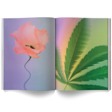 Load image into Gallery viewer, A Weed is a Flower Book
