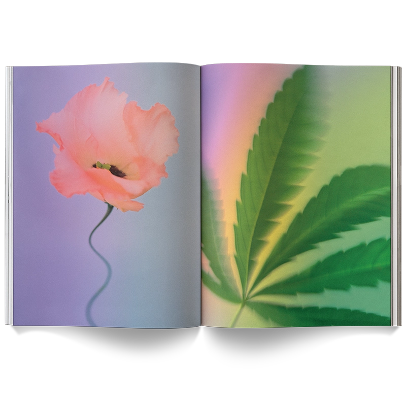 A Weed is a Flower Book