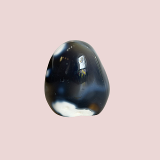 Banish Billionaires Orca Agate