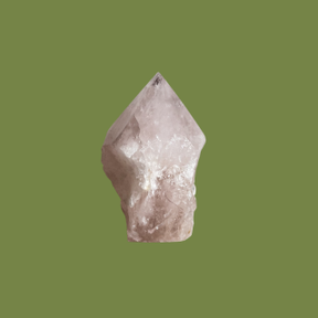 Radical Empathy Rose Quartz