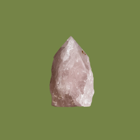 Radical Empathy Rose Quartz