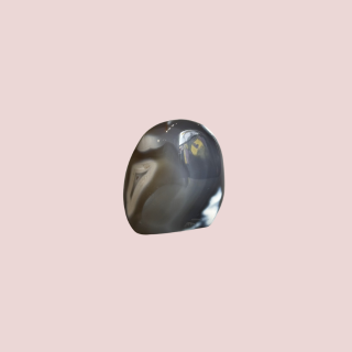 Banish Billionaires Orca Agate