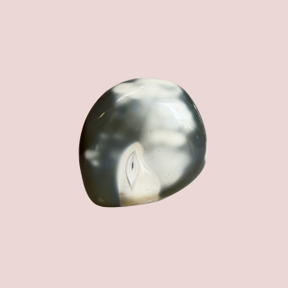 Banish Billionaires Orca Agate