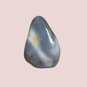 Banish Billionaires Orca Agate