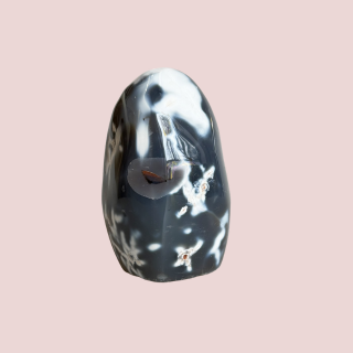 Banish Billionaires Orca Agate