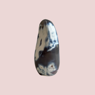 Banish Billionaires Orca Agate