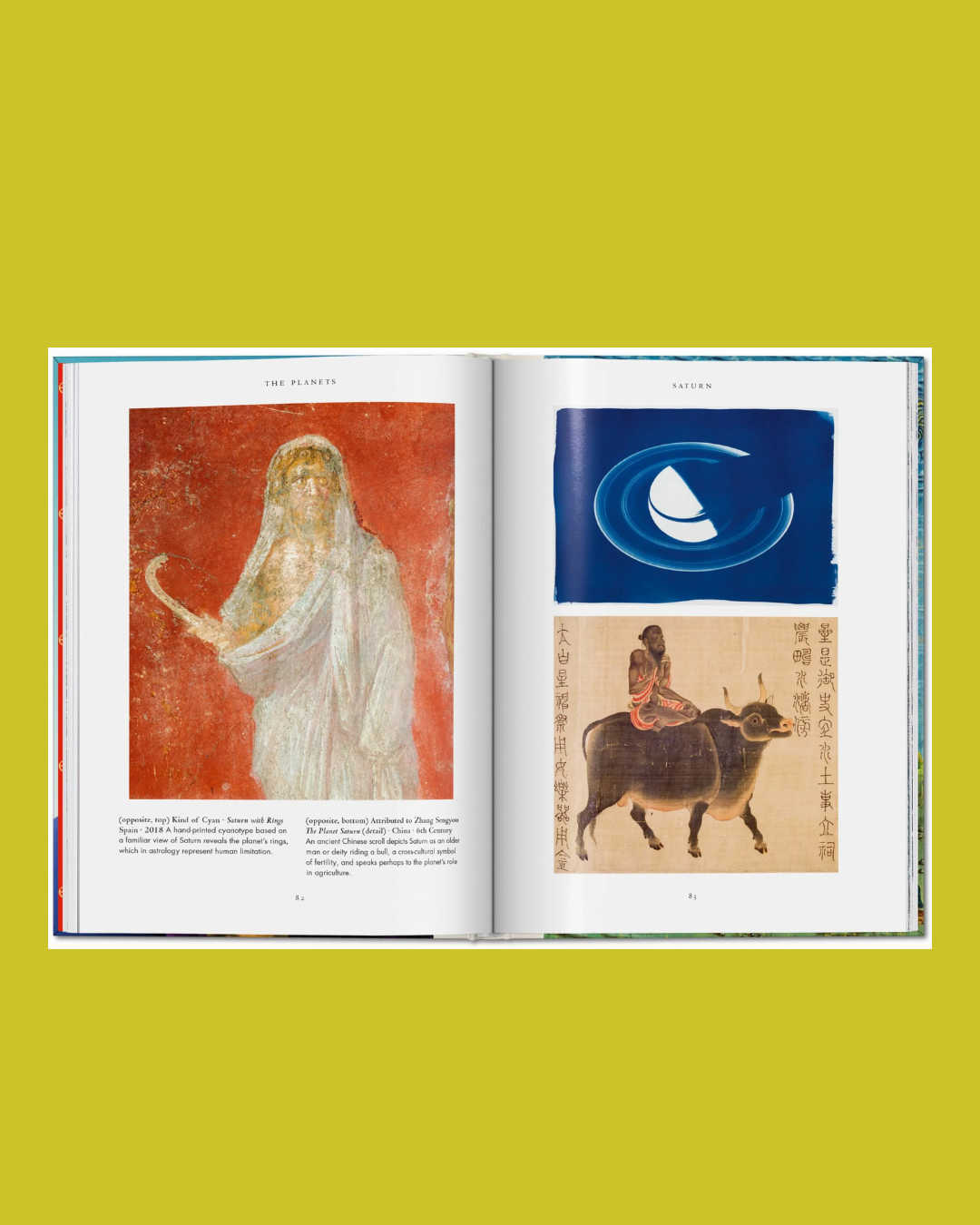 Astrology. The Library of Esoterica Pocket Edition