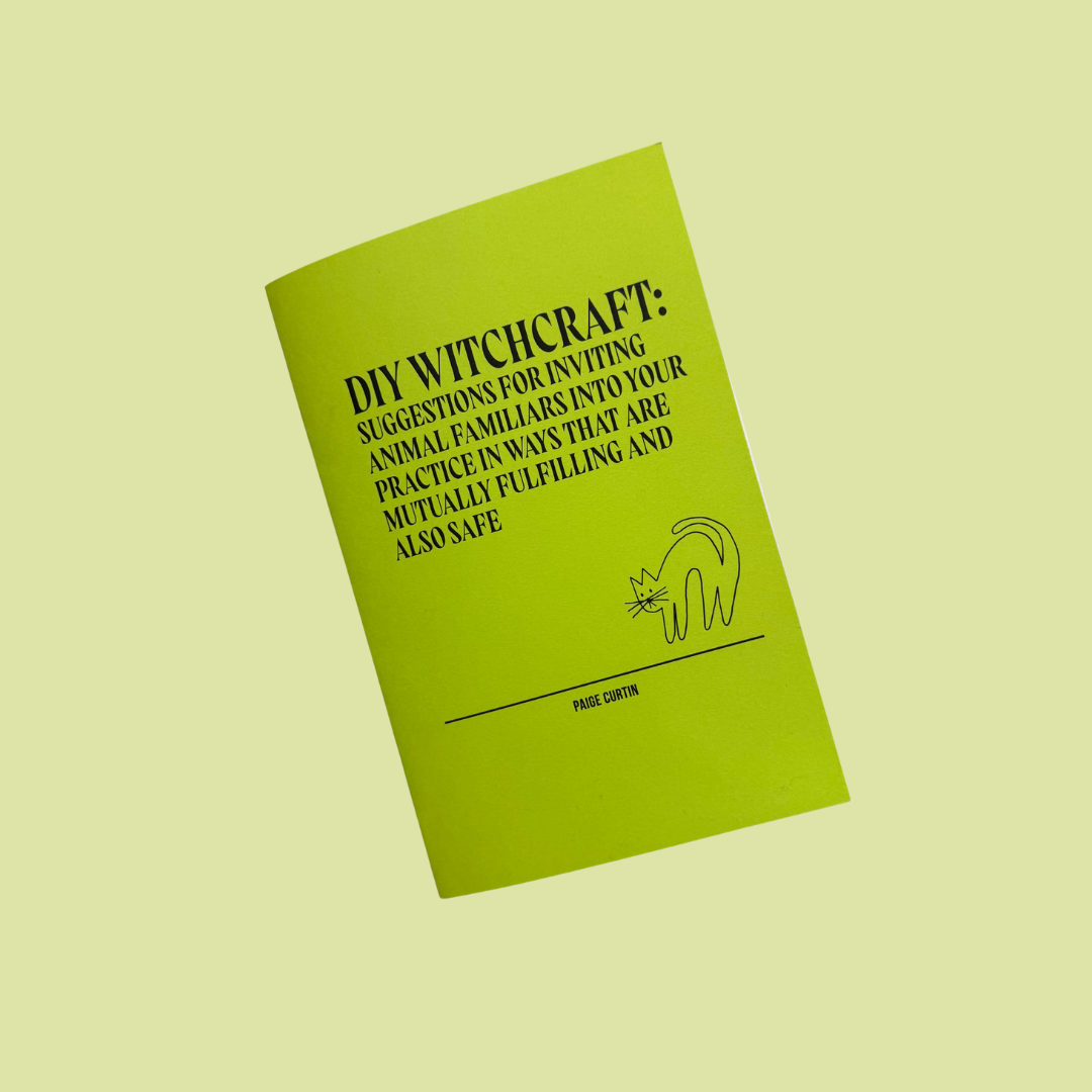 DIY Witchcraft: Making Magick with Familiars Zine