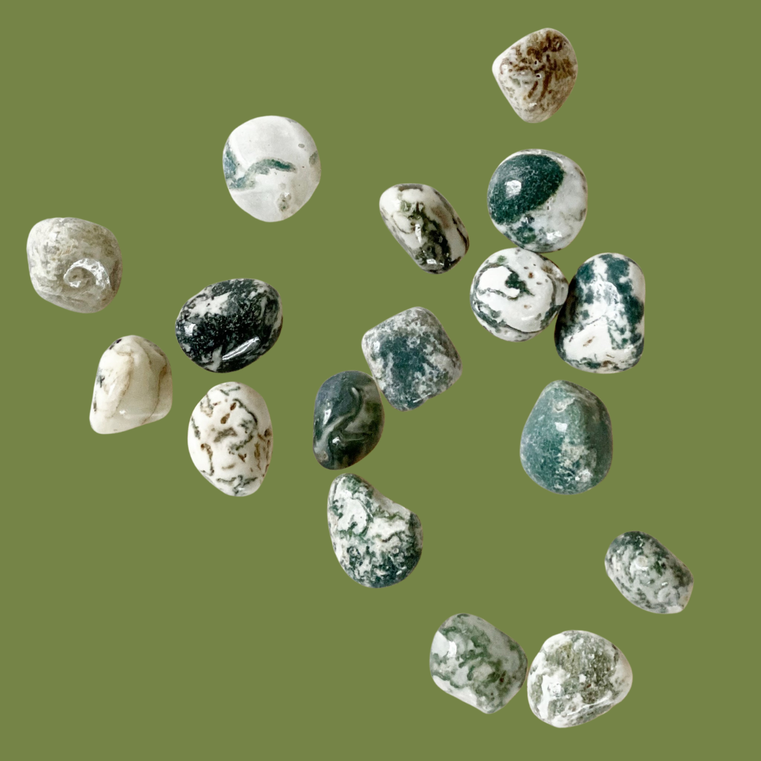 Tree Agate Tumbled Crystal