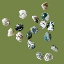 Load image into Gallery viewer, Tree Agate Tumbled Crystal
